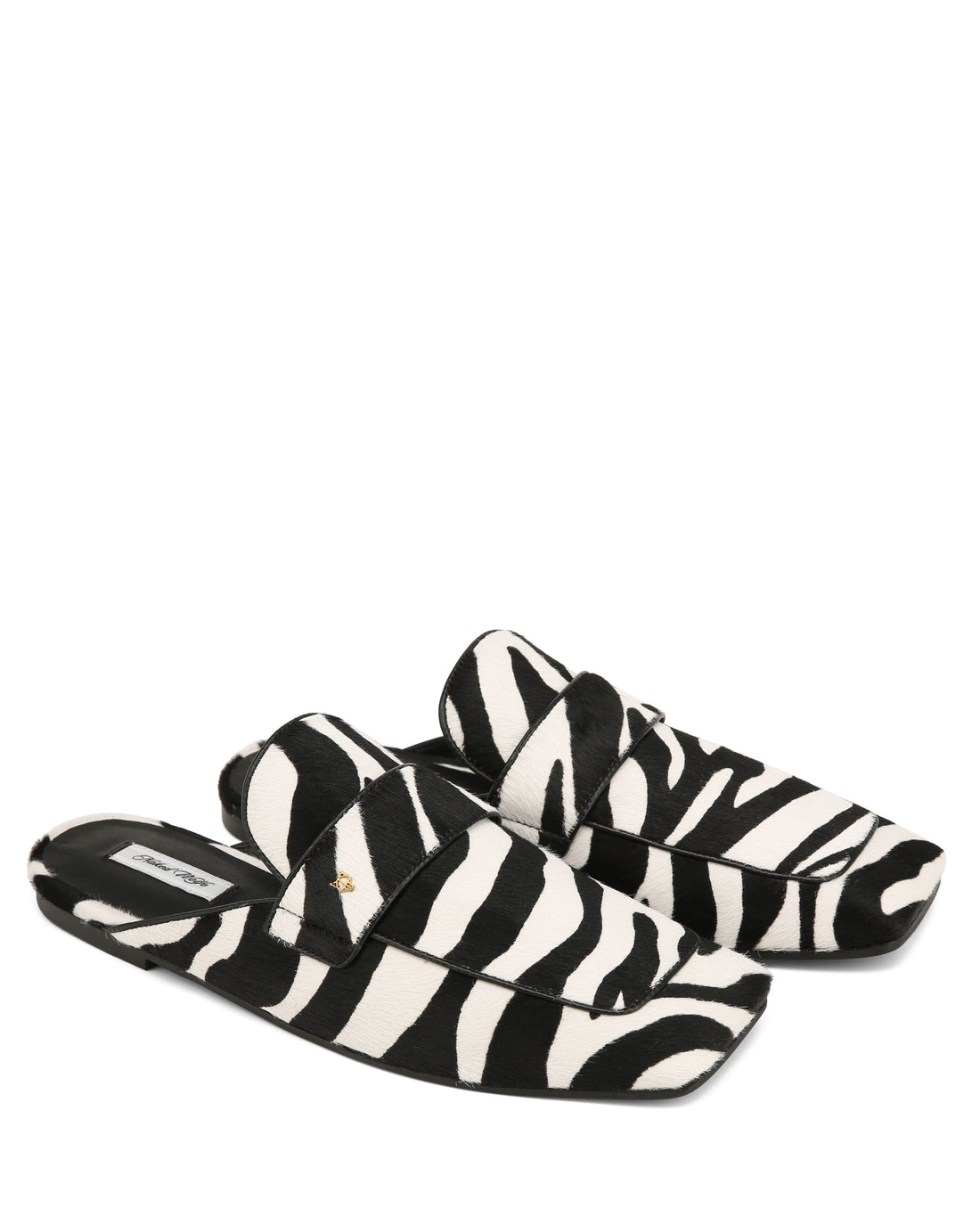 Bridgerton Zebra Pony