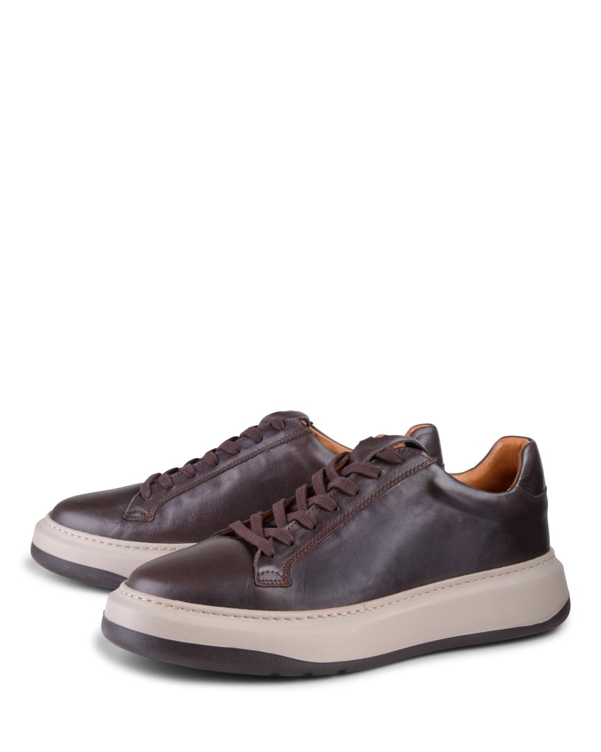 Ace Dark Brown Leather