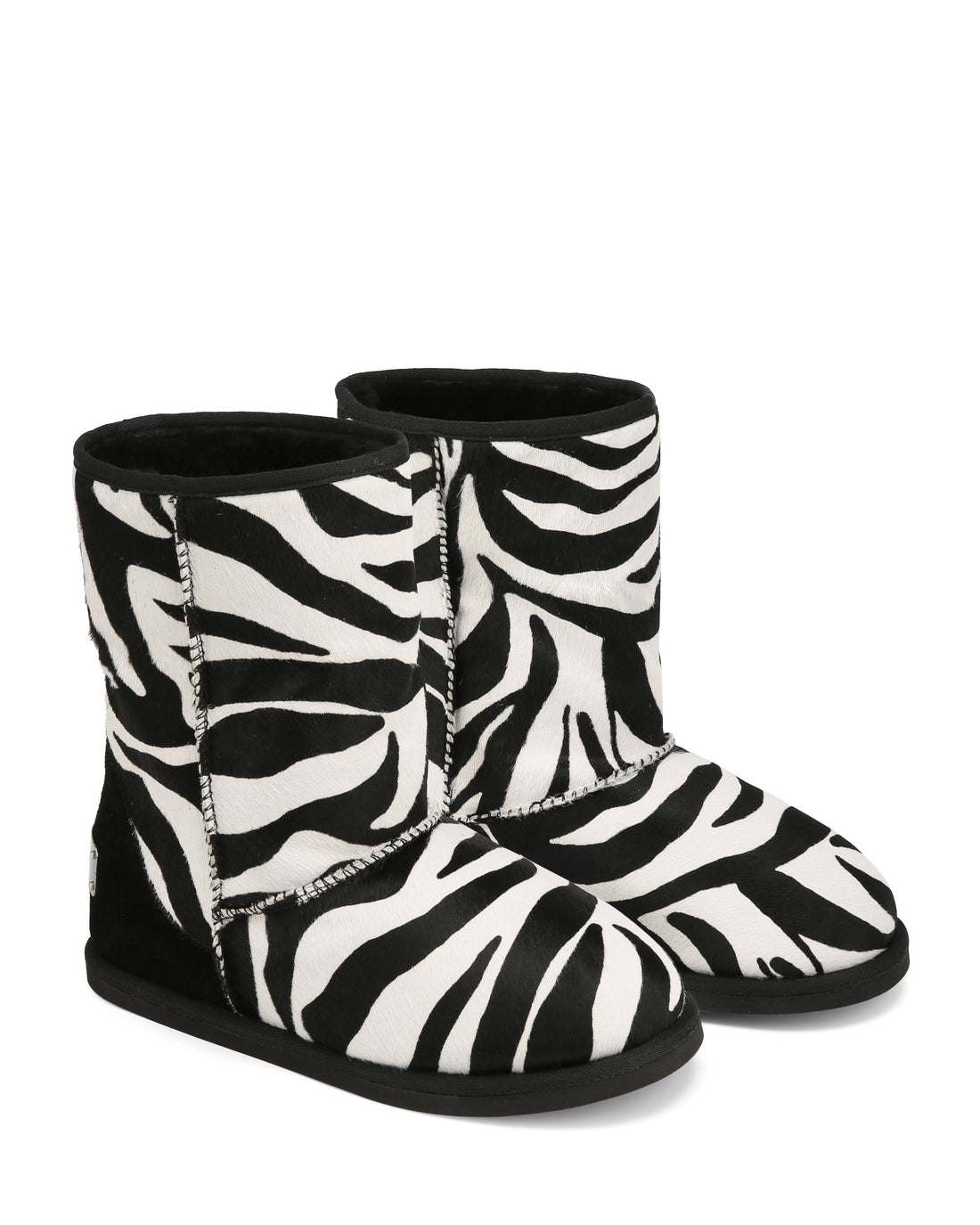 Honour Zebra