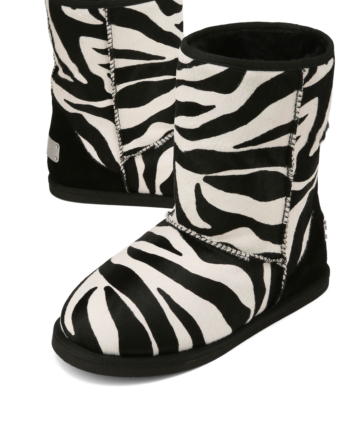 Honour Zebra