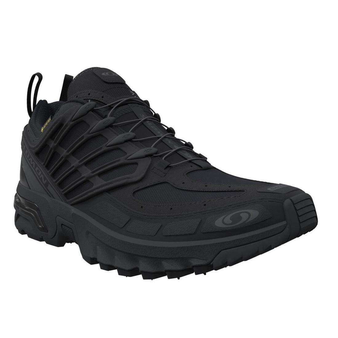 ACS Pro GTX Black/Black/Asphalt L47599400