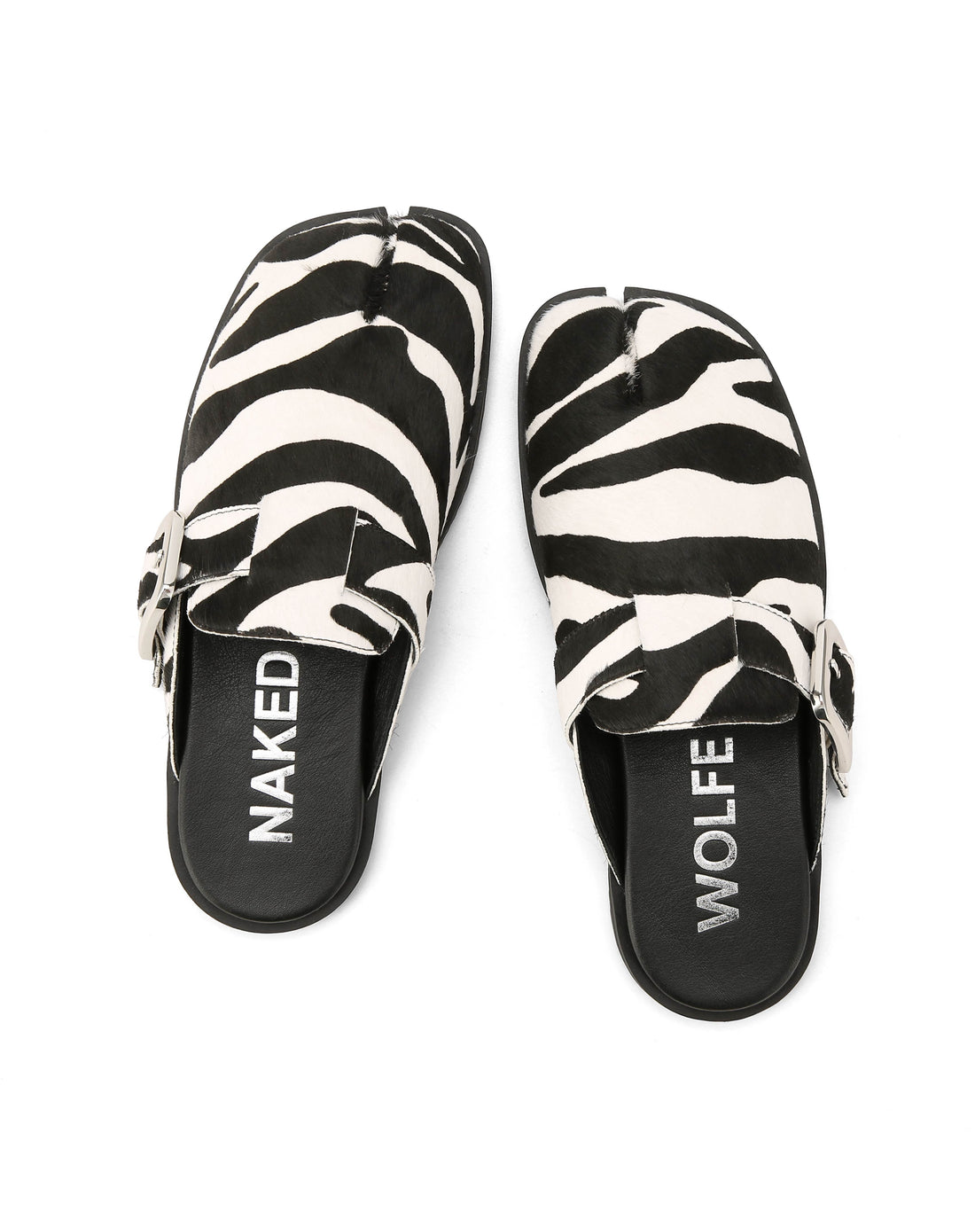 Lola Zebra Pony